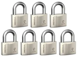 klodka-jarzmowa-na-klucz-gerda