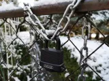 abus-1-szt-klodka-jarzmowa-system-jednego-klucza-typ-klodki-klodka-jarzmowa
