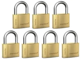 klodka-jarzmowa-na-klucz-gerda