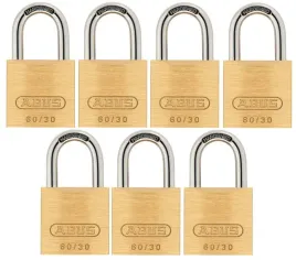 klodka-jarzmowa-na-klucz-abus