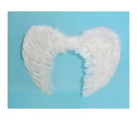 biale-skrzydla-z-piorami-aniolek-jaselka-60x40cm