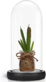 szklany-dzwonek-dekoracyjny-z-drewniana-podstawka-265-cm