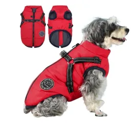 kurteczka-salvot-czerwony-s