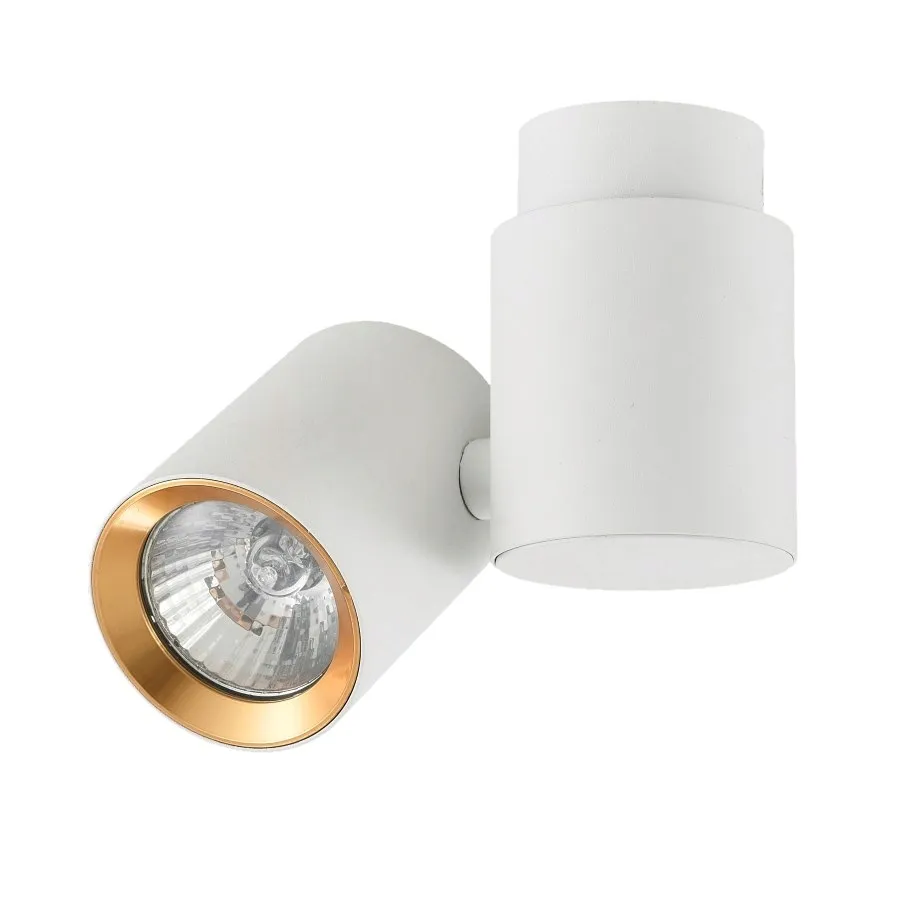 lampa-sufitowa-reflektor-bialy-zloty-do-salonu-sypialni-przedpokoju-boston-kolor-bialy