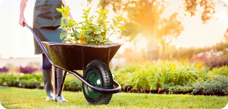 kolko-krumad-2-l-rodzaj-kolko-pojemnosc-2-l