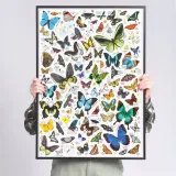czuczu-puzzlove-motyle-1000el-puzzle-rodz-93655-marka-czuczu