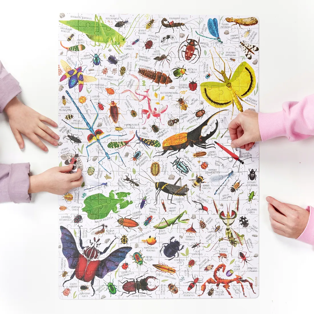 czuczu-puzzlove-owady-puzzle-200-elementow