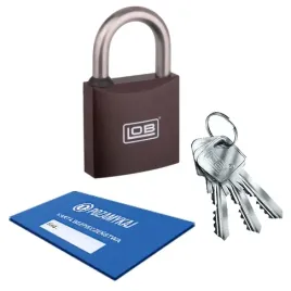 klodka-jarzmowa-na-klucz-lob