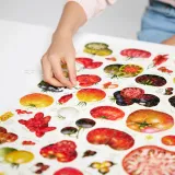puzzle-puzzlove-pomidory-1000-elementow-ukladanka-dla-milosnikow-natury-marka-czuczu