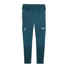 spodnie-pilkarskie-meskie-puma-neymar-jr-creativity-training-ocean-heat-m
