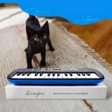 keyboard-lexington-kbb-082-model-kbb-082