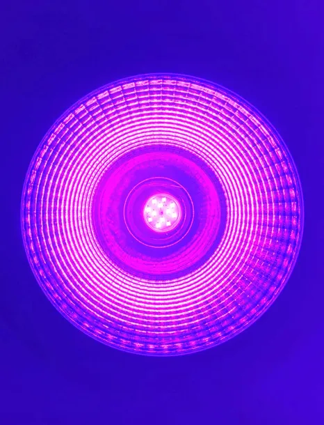 reflektor-uv-cob-15w-ultrafiolet-dmx-marka-bez-marki-model-sh5588