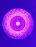 reflektor-uv-cob-15w-ultrafiolet-dmx-marka-bez-marki-model-sh5588