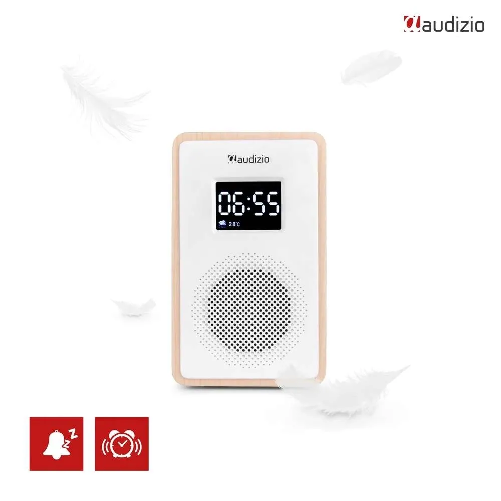 radio-baterie-dab-fm-audizio-modena