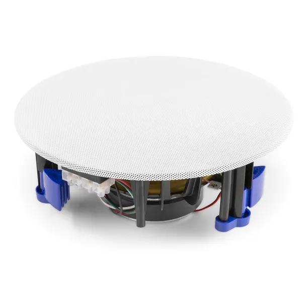 glosnik-sufitowy-1szt-100v-65-dom-szkola-biuro-waga-produktu-1000-g