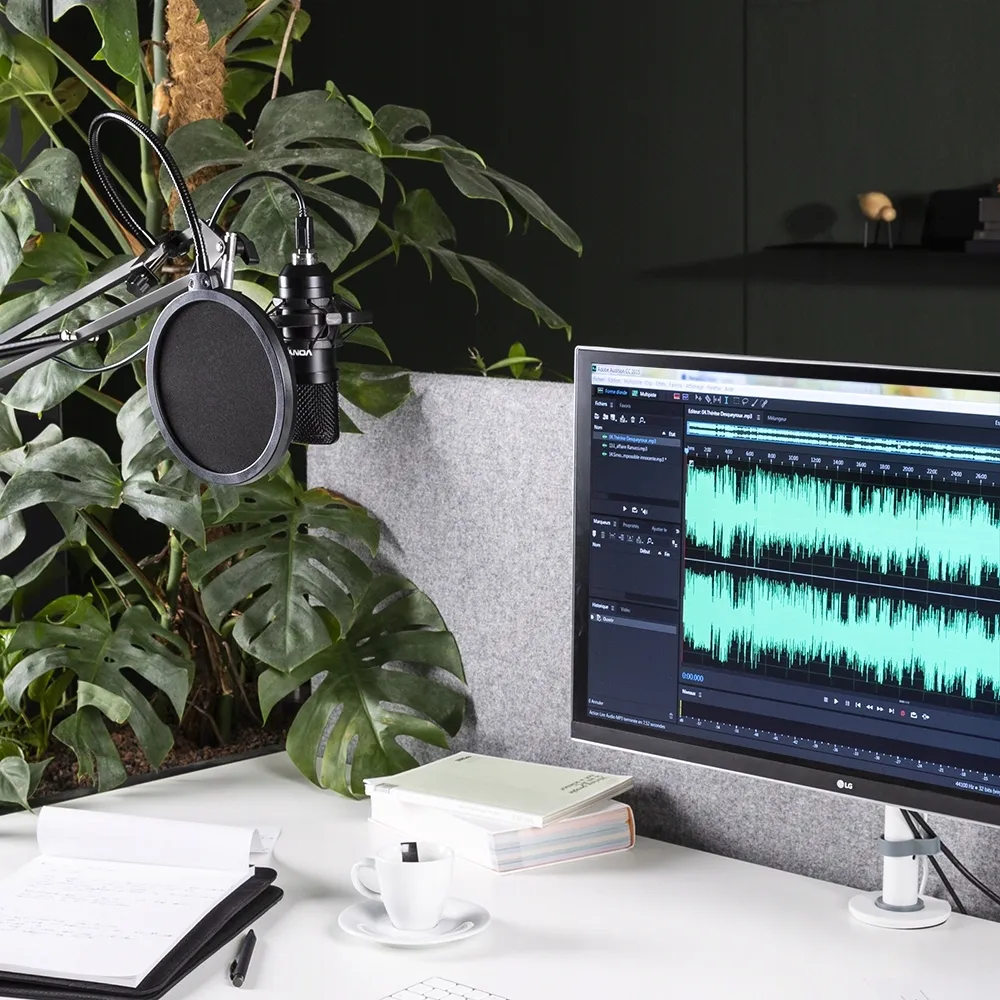 mikrofon-vonyx-cms300b