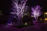 reflektor-z-akumulatorem-led-6x-12w-rgbwa-uv-mocny-model-bbp96sw-kod-producenta-150-578