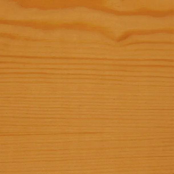 v33-impregnat-protect-dab-jasny-9l-marka-v33