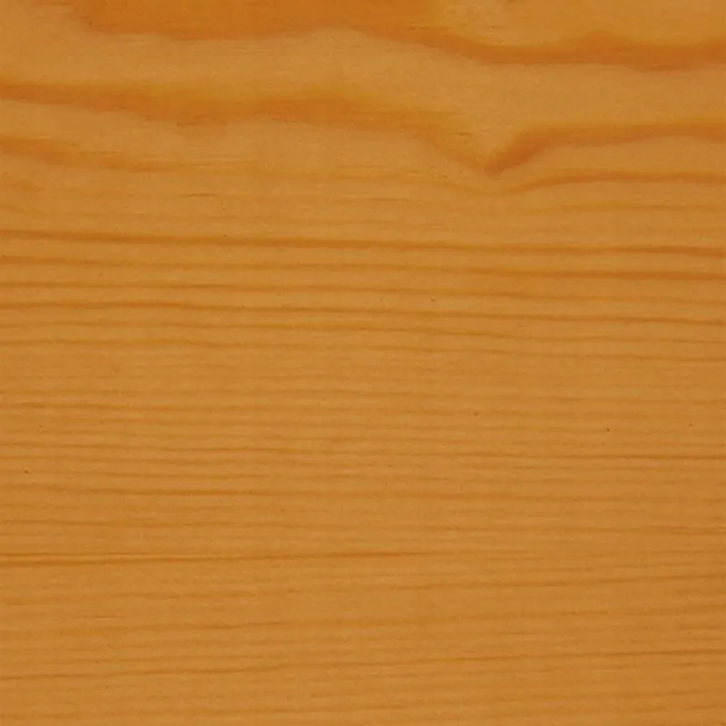 v33-impregnat-protect-dab-jasny-9l-przeznaczenie-do-drewna