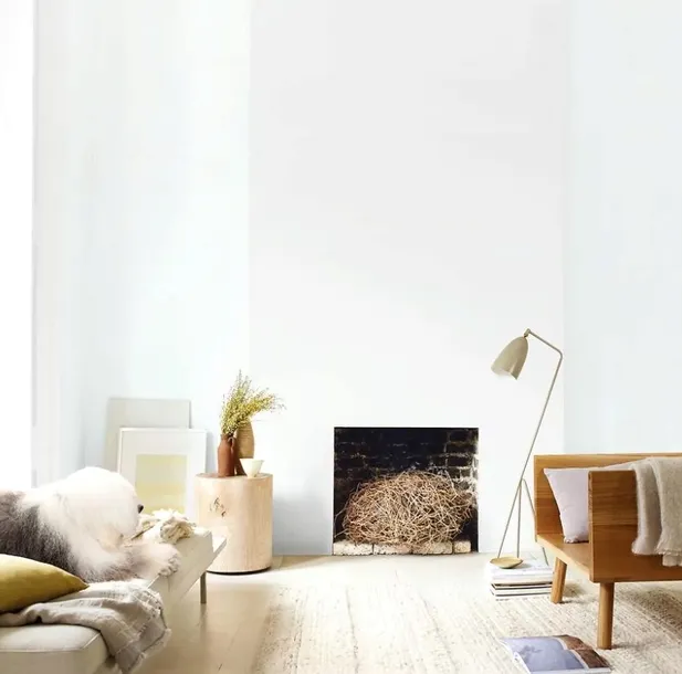 farba-akrylowa-scienna-dulux-9-l-biala-mat-wielkosc-opakowania-9-l