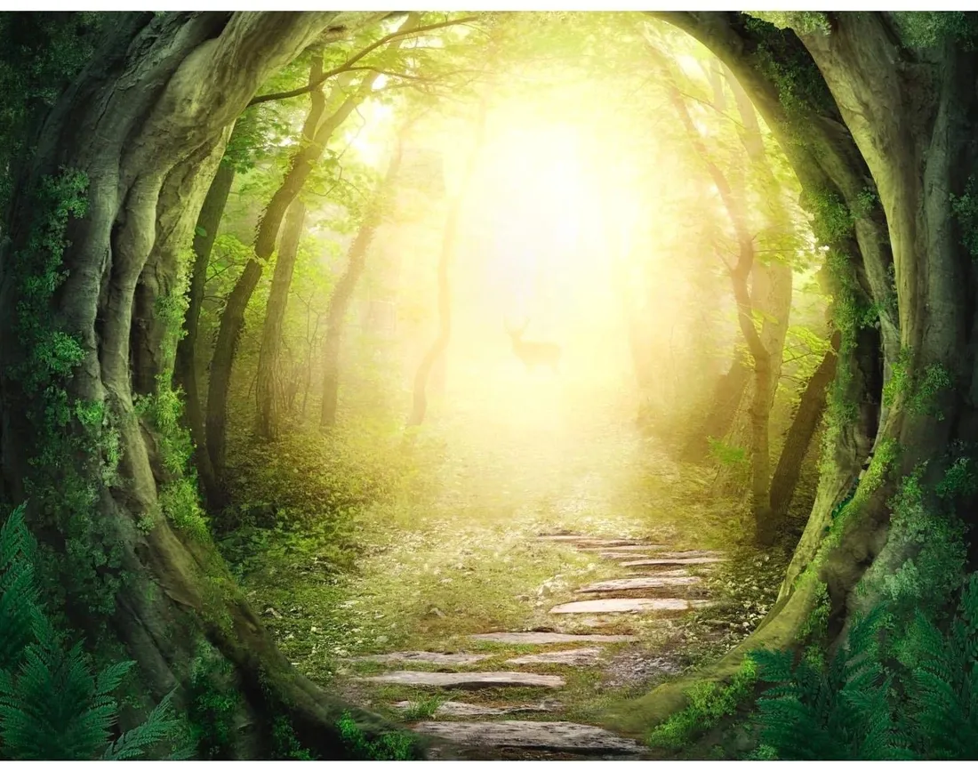 fototapeta-las-dekoracja-scienna-352x250cm