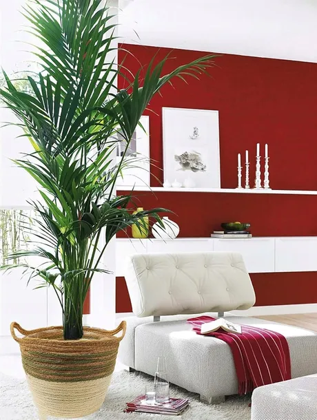 oslonka-17-wiklina-brazowy-wysokosc-produktu-17-cm