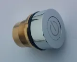 przycisk-do-spluczki-wc-bialy-zlocony-geberit-rodzaj-do-wc