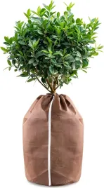 hydrogarden-zimowy-worek-na-rosliny-termiczna-ochrona-65x70-cm-2szt