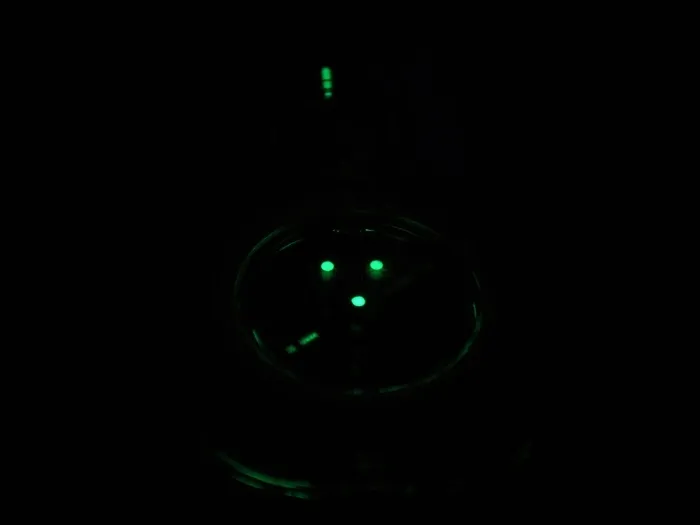 kompas-mapowy-silva-ranger