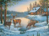 puzzle-1000-ciche-miejsce-113572-cobble-hill-stan-nowy