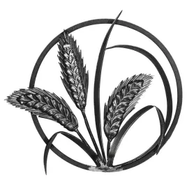 rozeta-kuta-klos-fi384-x-3-mm