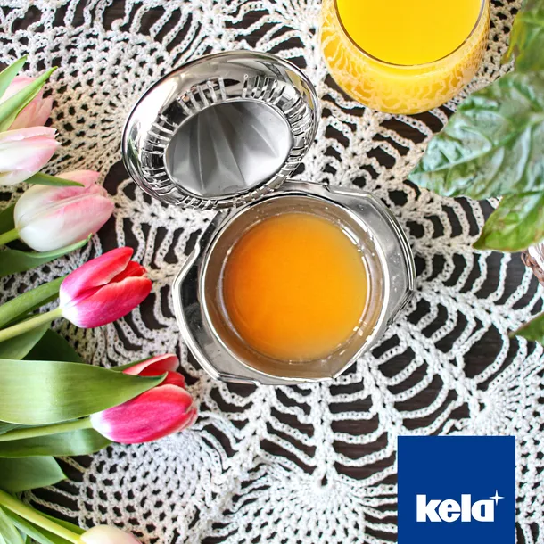 wyciskarka-do-cytrusow-kela-kod-producenta-kela-19200-vision
