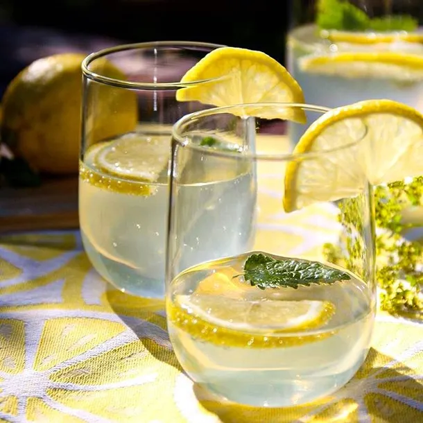 wyciskarka-do-cytrusow-kela-rodzaj-wyciskarka