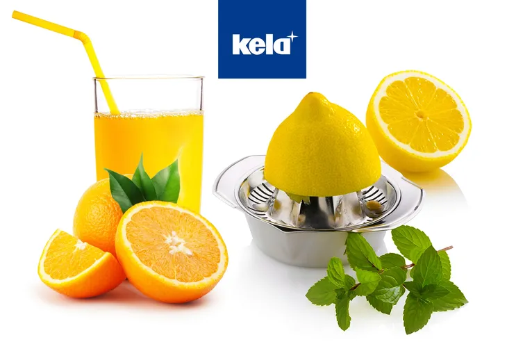 wyciskarka-do-cytrusow-kela-marka-kela-material-stal-nierdzewna