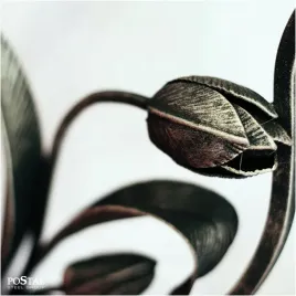 rozeta-kuta-tulipan-fi250-x-h430-mm