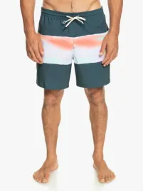 quiksilver-spodenki-meskie-surfsilk-air-brush-xl