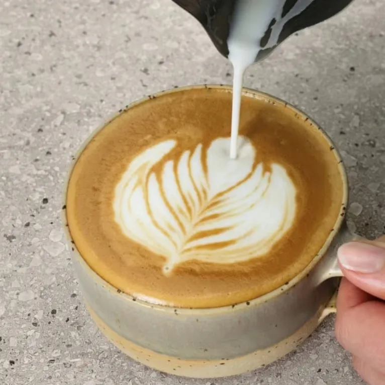 ekspres-kolbowy-electrolux-e6ec1-6bst