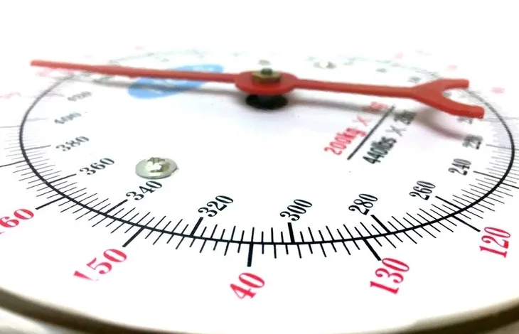 waga-mechaniczna-fish-rodzaj-waga