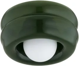 argon-tevo-kinkiet-1x45-w-zielony-8810