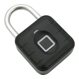 klodka-elektroniczna-45mm-odcisk-palca-wodoodporna