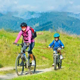 przyczepka-rowerowa-dla-dzieci-bedee-gvbjmnhnk