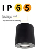 lampa-sufitowa-reflektor-50w-czarna-light-prestige-material-dominujacy-metal