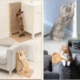 drapak-niski-bedee-61-100-cm-liczba-poziomow-1