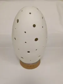 nawilzacz-ultradzwiekowy-jajko-bialy