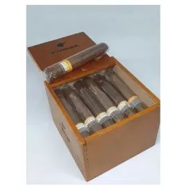cygaro-cygara-cohiba-robustos-5-sztuka-gratis