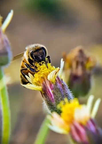 glosniki-oem-hp-dv7-sub