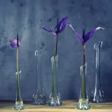 wazon-z-lezka-h-25cm-material-szklo