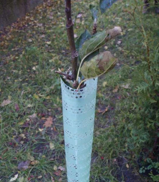 szatkownica-drewniana-3-ostrza-49-17cm-material-obudowy-drewno