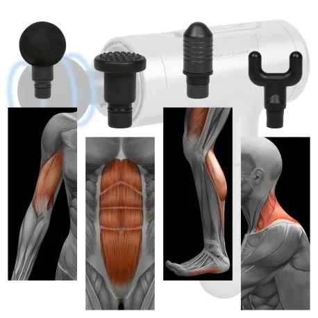 masazer-ciala-proficare-pc-mp-3087