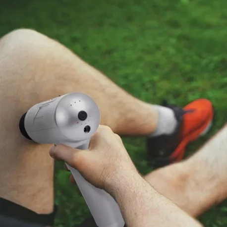 masazer-ciala-proficare-pc-mp-3087-marka-proficare